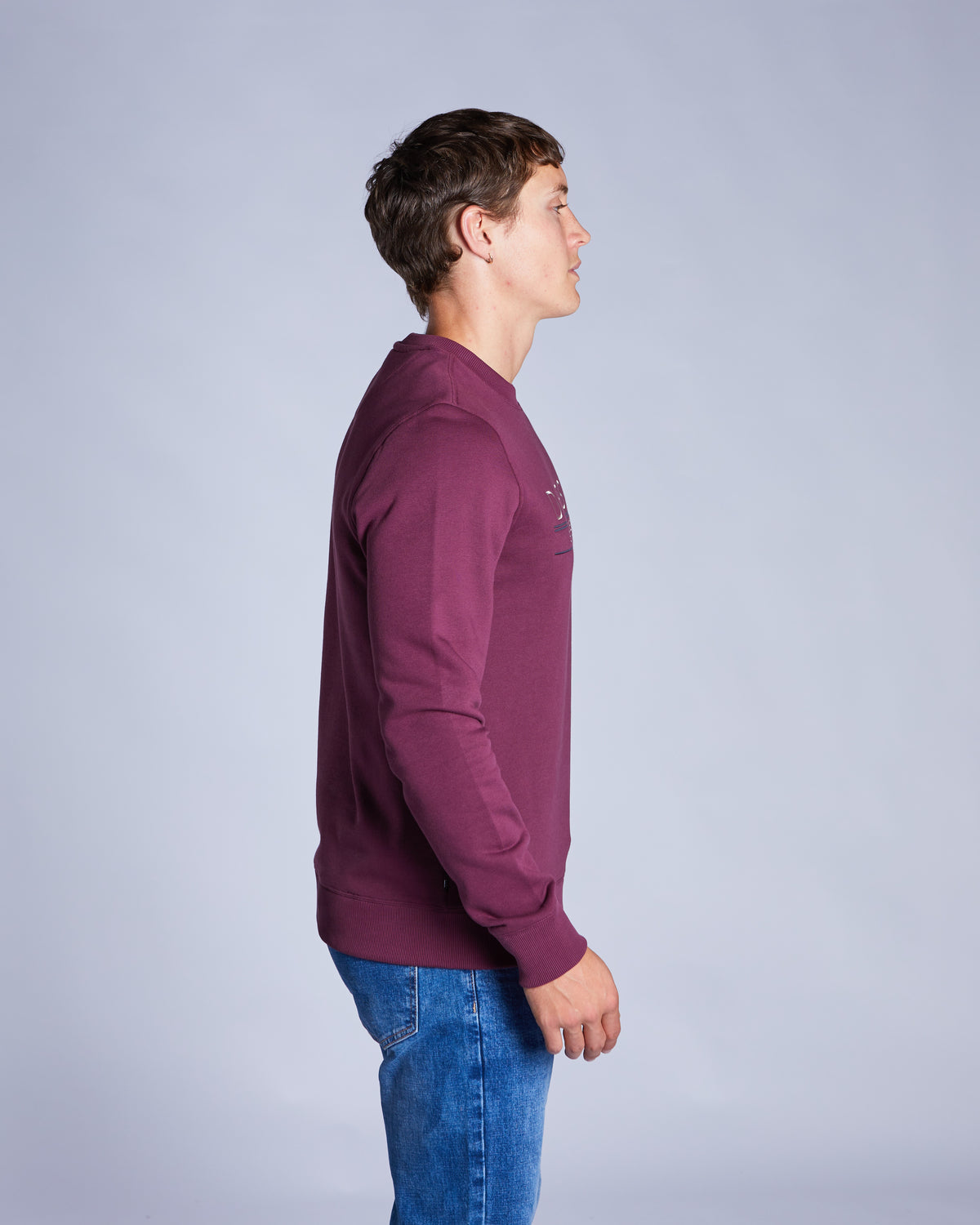 Durk Sweatshirt Fig