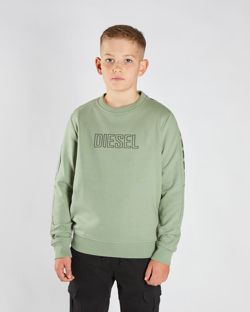 Ford Sweater Sage