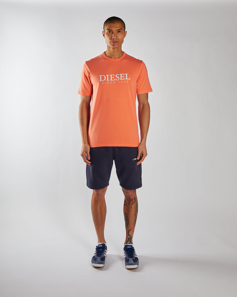 Lincoln Tee Fresh Salmon