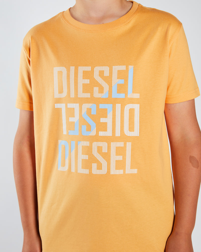 Radcliff Tee Coral