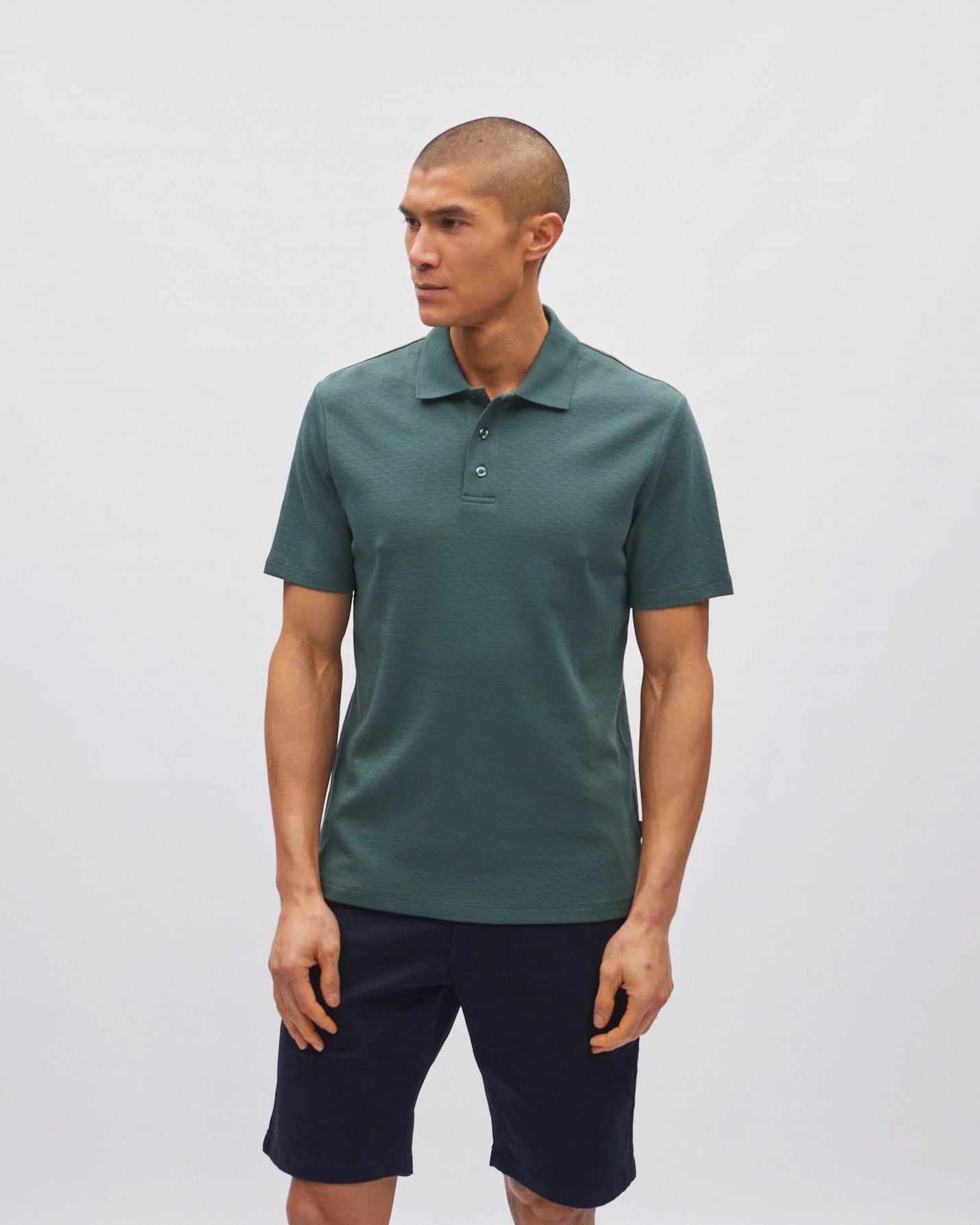 Serge Polo Mayan Forest