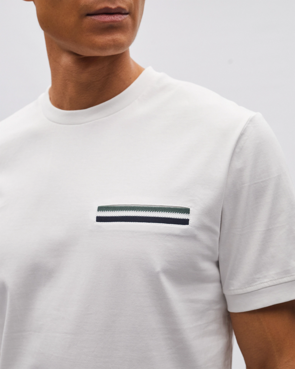 Stanley Tee Antarctic