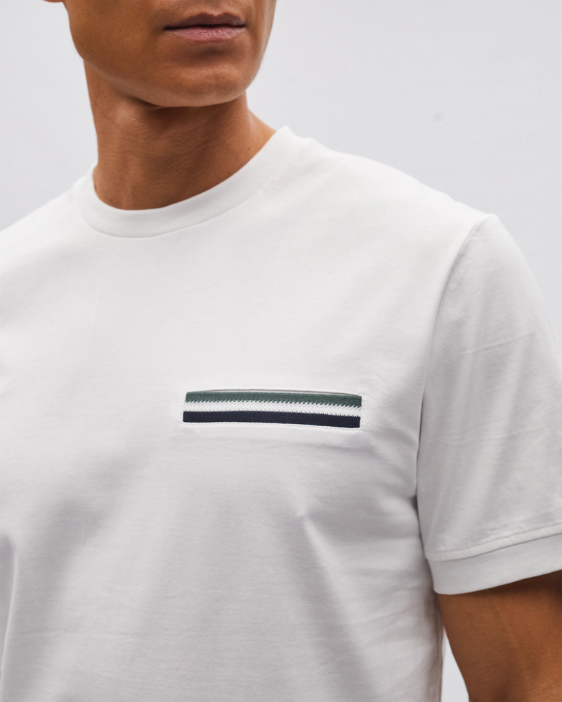 Stanley Tee Antarctic